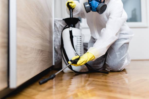 Best Best Pest Control Companies  in West Hattiesburg, MS