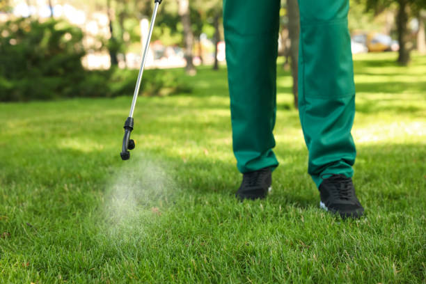 Flea Control Services in West Hattiesburg, MS