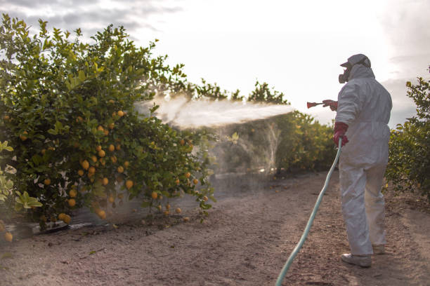 Best Commercial Pest Control Services  in West Hattiesburg, MS
