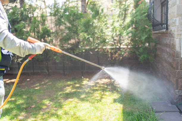 Best Mosquito Control Services  in West Hattiesburg, MS