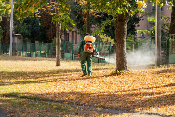 Best Best Pest Control Near Me  in West Hattiesburg, MS