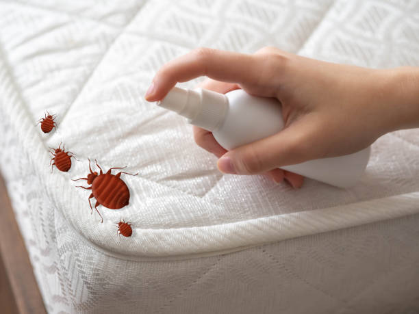 West Hattiesburg, MS Pest Control Company