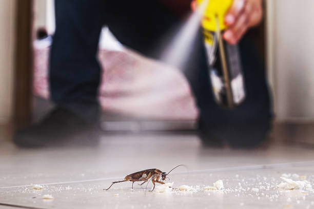 Wildlife Control Services in West Hattiesburg, MS
