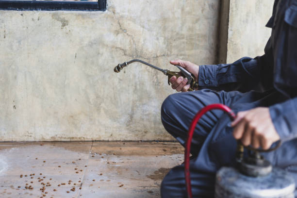Best Exterminator Services  in West Hattiesburg, MS